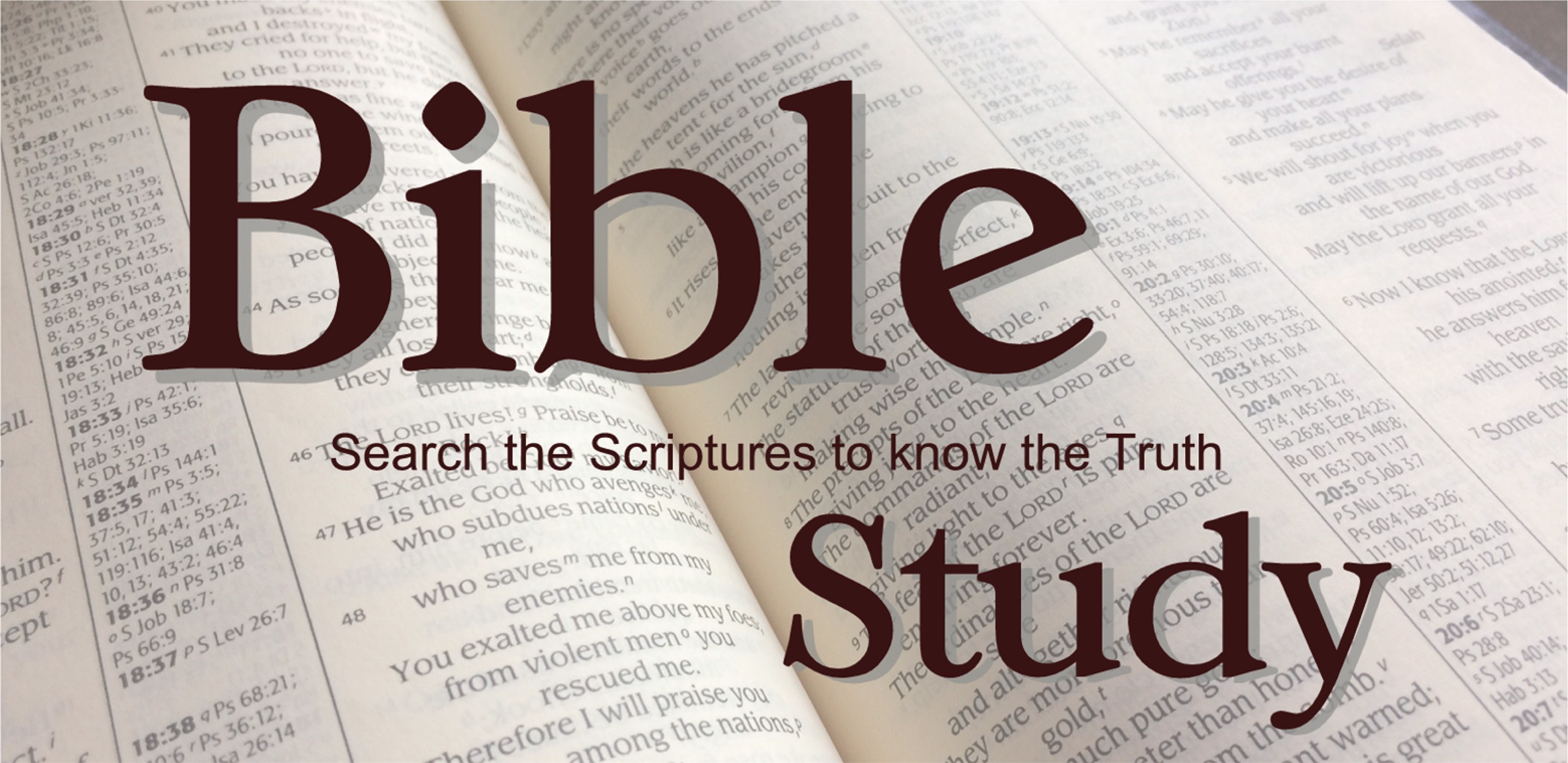 Bible Study logo
